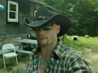 Wildcowboy