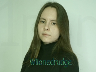 Wilonedrudge
