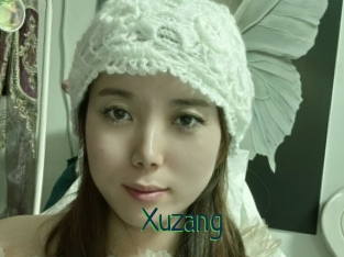 Xuzang