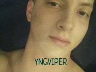 YNGVIPER