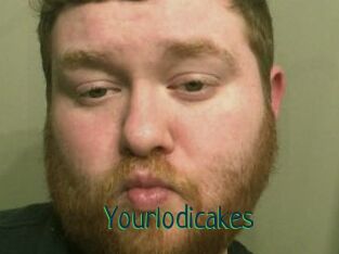 Yourlodicakes