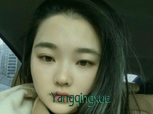 Yangqingxue
